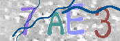 CAPTCHA Imagem