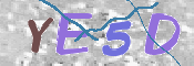 CAPTCHA Imagem