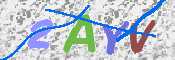 CAPTCHA Imagem