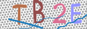 CAPTCHA Imagem