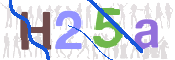 CAPTCHA Imagem