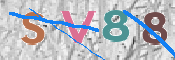 CAPTCHA Imagem