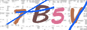 CAPTCHA Imagem