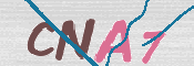 CAPTCHA Imagem