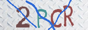 CAPTCHA Imagem