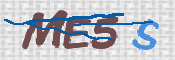 CAPTCHA Imagem