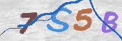 CAPTCHA Imagem