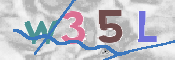 CAPTCHA Imagem