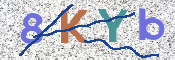 CAPTCHA Imagem