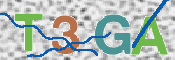 CAPTCHA Imagem