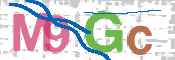 CAPTCHA Imagem