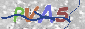 CAPTCHA Imagem