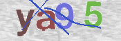 CAPTCHA Imagem