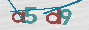 CAPTCHA Imagem