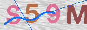 CAPTCHA Imagem