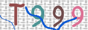 CAPTCHA Imagem