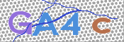 CAPTCHA Imagem