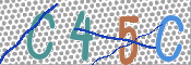 CAPTCHA Imagem