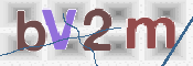 CAPTCHA Imagem