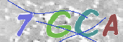CAPTCHA Imagem