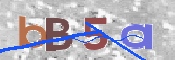 CAPTCHA Imagem