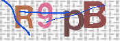 CAPTCHA Imagem