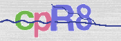 CAPTCHA Imagem