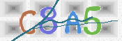 CAPTCHA Imagem