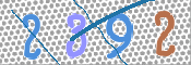 CAPTCHA Imagem