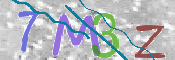 CAPTCHA Imagem