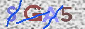 CAPTCHA Imagem