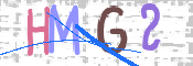 CAPTCHA Imagem