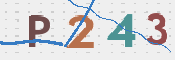 CAPTCHA Imagem