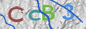 CAPTCHA Imagem