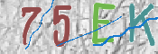 CAPTCHA Imagem