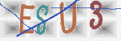CAPTCHA Imagem
