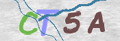 CAPTCHA Imagem