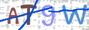 CAPTCHA Imagem