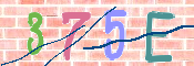 CAPTCHA Imagem